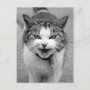 Recherche de contrarié cartes postales Noir et blanc