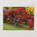 Recherche de japonais cartes postales Nature