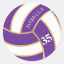 Recherche de volley autocollants Équipe