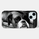 Recherche de chien de boxeur coques Canine
