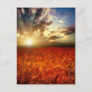 Recherche de champs de blé cartes postales Pays