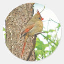 Recherche de nord autocollants Nature