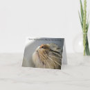 Recherche de amant animal vœux cartes Pour tous
