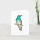 Recherche de émeraude vœux cartes Oiseau