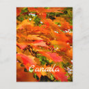 Recherche de couleurs automnales cartes postales Pour tous