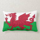 Recherche de le pays de galles coussins Dragon