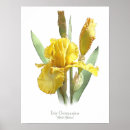 Recherche de copies botaniques posters Iris