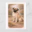 Zoek naar pug briefkaarten Antiek