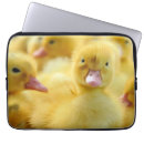 Zoek naar vogels laptop sleeves Eenden