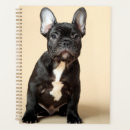 Recherche de french bulldog bureau fournitures Frenchie