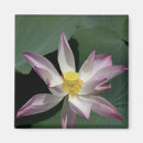 Zoek naar vietnam magneten Roze