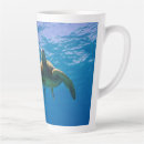 Recherche de tortue verte tasses Muqueuse