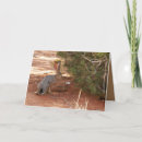 Recherche de lapin noir vœux cartes Rouge