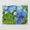 Zoek naar van alaska briefkaarten Wild