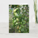 Zoek naar dranken kaarten Foto