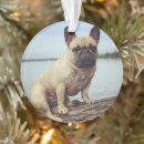 Zoek naar french bulldog ornamenten Huisdieren
