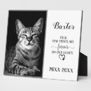 Recherche de sympathie plaques Mémorial de chien