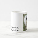 Recherche de cocker noir tasses Épagneul