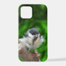 Recherche de birds iphone coques Faune