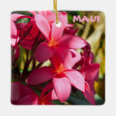 Recherche de fleurs exotiques ornements Tropical