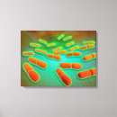 Zoek naar microben kunst Geneeskunde