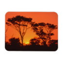 Recherche de sud africain magnets Afrique du sud