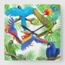 Recherche de écarlate horloges Perroquet