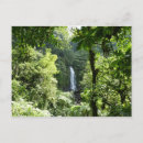 Recherche de trafalgar cartes postales Nature