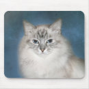 Recherche de visage bleu tapis souris Yeux bleus