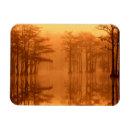 Recherche de cypr magnets Automne