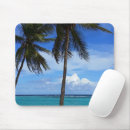 Recherche de guadeloupe tapis souris Palmier