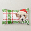 Recherche de russell coussins Vacances