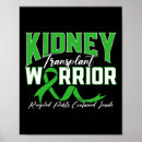 Zoek naar rénal posters Renaal