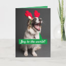 Recherche de chant de noël photographie Mignon