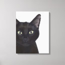 Recherche de noir chat toiles Amoureux des animaux