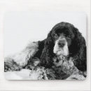 Recherche de chiot cocker tapis souris Mignon