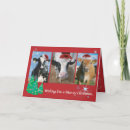 Recherche de vache holstein vœux cartes Bovin