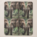 Zoek naar olifants dekens Wild