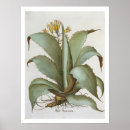 Zoek naar hortus posters Botanisch