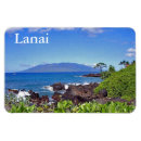 Recherche de maui magnets Hawaii