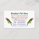 Recherche de oiseau coloré cartes visite Mignon