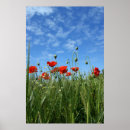 Recherche de medow Meadow