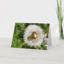 Zoek naar zaden kaarten Fotografie