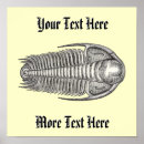 Recherche de fossilisé posters Paléontologie