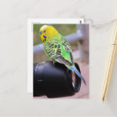 Recherche de lentille cartes postales Jaune