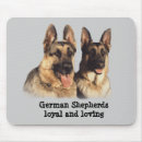 Recherche de gsd tapis souris Chiot