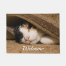 Zoek naar trog Kat