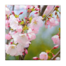 Zoek naar sakura tegels Bloemfotografie