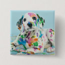 Recherche de dalmatiens Chien dalmatien