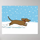 Recherche de chien de saucisse posters Teckel